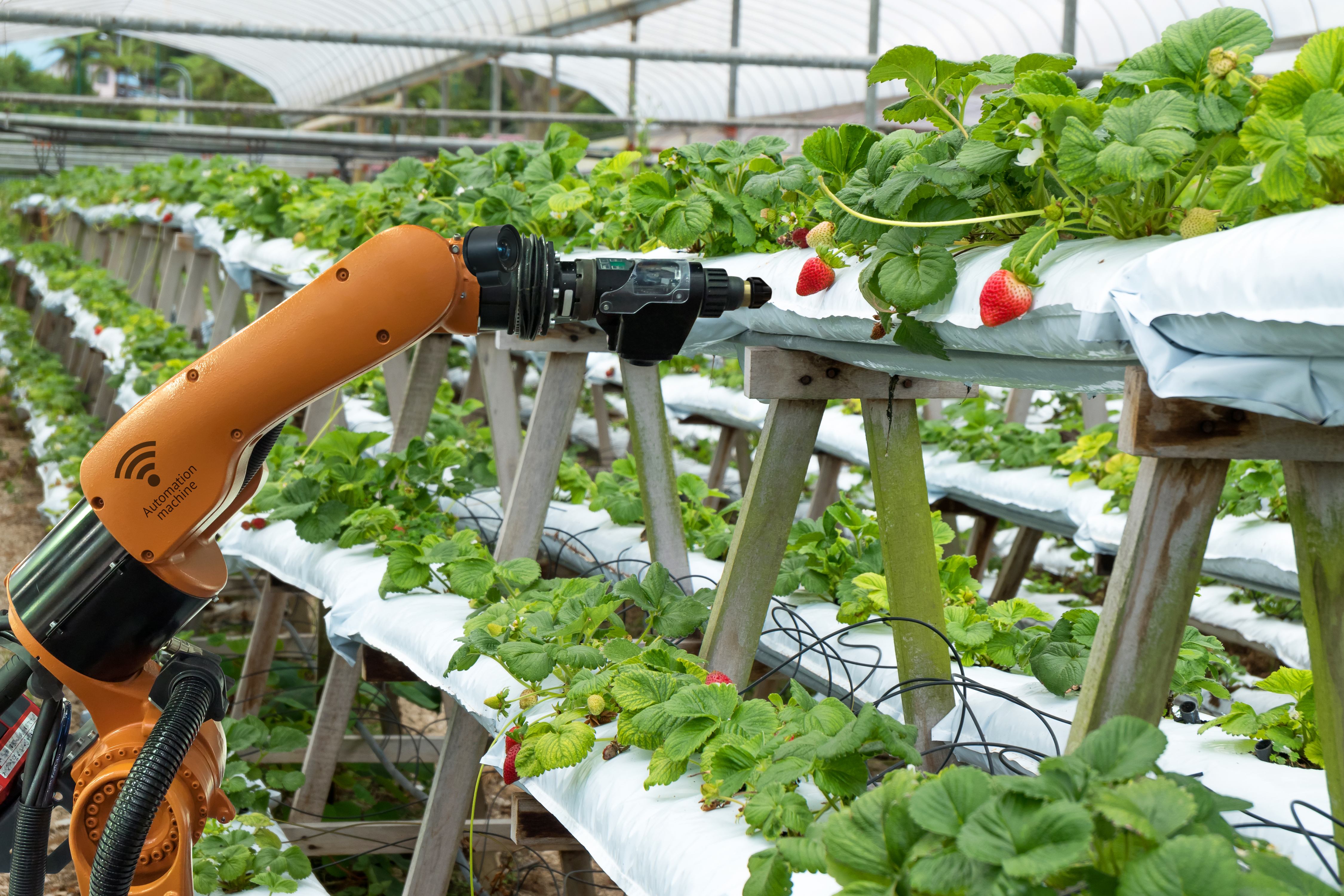 how-mechatronics-engineering-is-advancing-agriculture-washington-d-c